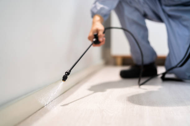 Licensed Mosquito Control service in Silver Springs Shores, FL - Show Me Pest Control