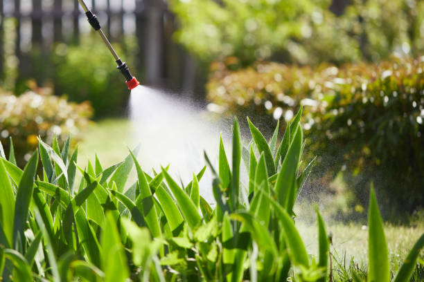 24/7 Emergency Mosquito Control experts in Silver Springs Shores, FL