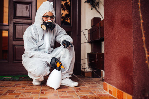 Reliable Mosquito Control contractor in Silver Springs Shores, FL by Show Me Pest Control